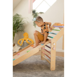 Climber bois naturel + 2 rampes double face – Bar + pierre multicolore