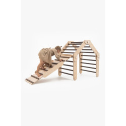 Climber bois foncé + rampe double face – Bar