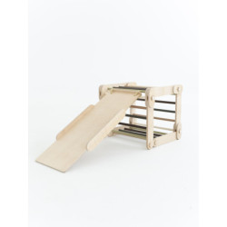 Climber forest + rampe double face – Bar