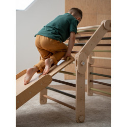 Climber forest + rampe double face – Bar