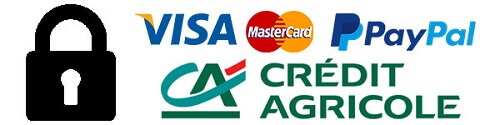 Logos payment site Fraise & Bois